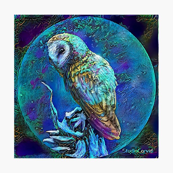 midnight owl painting