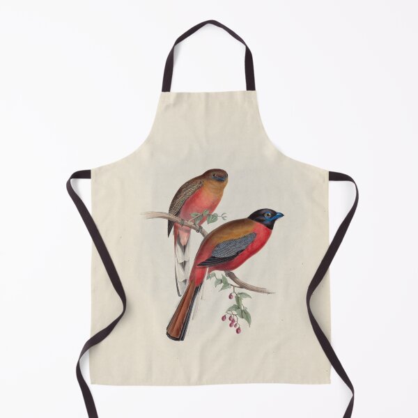 Item preview, A monograph of the Trogonidae or family of trogons John Gould 1838 V1 to V3 0036 Trogon Duvaucelii Duvancel's Trogon designed and sold by WetdryvacRB01.