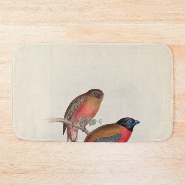 Item preview, A monograph of the Trogonidae or family of trogons John Gould 1838 V1 to V3 0036 Trogon Duvaucelii Duvancel's Trogon designed and sold by WetdryvacRB01.