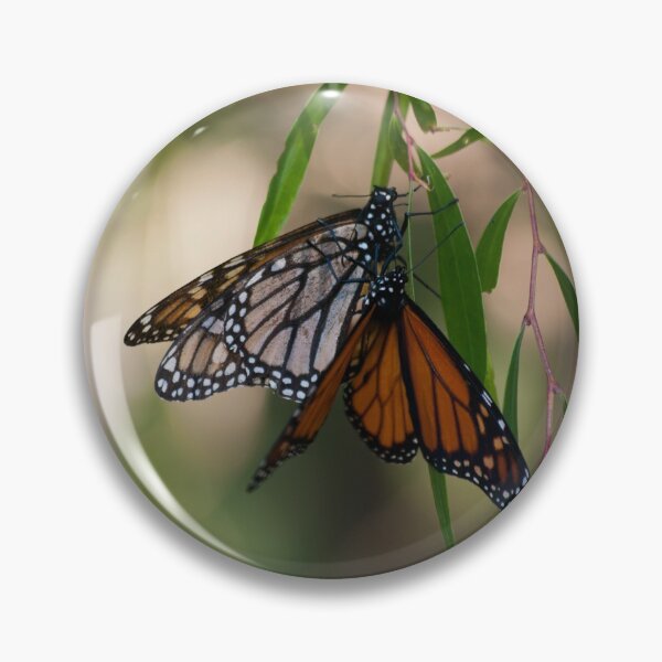 Item preview, Butterfly Chillin' designed and sold by JlocksJedi.