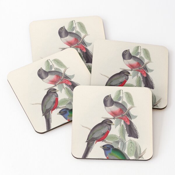 Item preview, A monograph of the Trogonidae or family of trogons John Gould 1838 V1 to V3 0038 Trogon Variegatus Purple Breasted Trogon designed and sold by WetdryvacRB01.