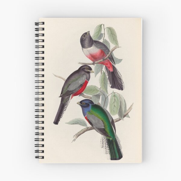 Item preview, A monograph of the Trogonidae or family of trogons John Gould 1838 V1 to V3 0038 Trogon Variegatus Purple Breasted Trogon designed and sold by WetdryvacRB01.