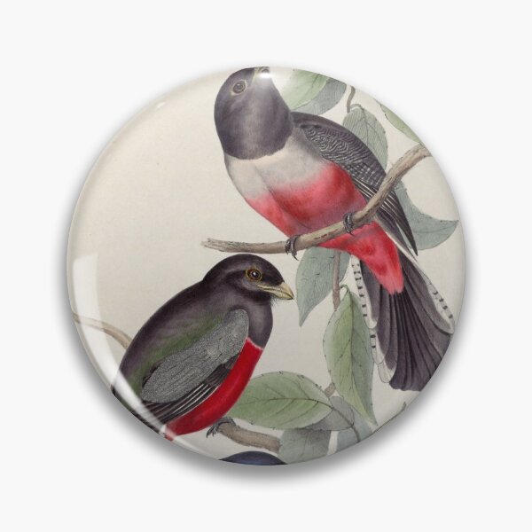 Item preview, A monograph of the Trogonidae or family of trogons John Gould 1838 V1 to V3 0038 Trogon Variegatus Purple Breasted Trogon designed and sold by WetdryvacRB01.