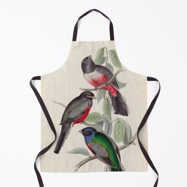 Item preview, A monograph of the Trogonidae or family of trogons John Gould 1838 V1 to V3 0038 Trogon Variegatus Purple Breasted Trogon designed and sold by WetdryvacRB01.