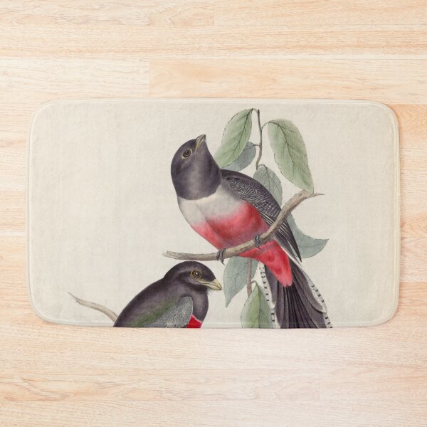 Item preview, A monograph of the Trogonidae or family of trogons John Gould 1838 V1 to V3 0038 Trogon Variegatus Purple Breasted Trogon designed and sold by WetdryvacRB01.