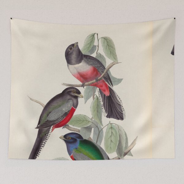 Item preview, A monograph of the Trogonidae or family of trogons John Gould 1838 V1 to V3 0038 Trogon Variegatus Purple Breasted Trogon designed and sold by WetdryvacRB01.