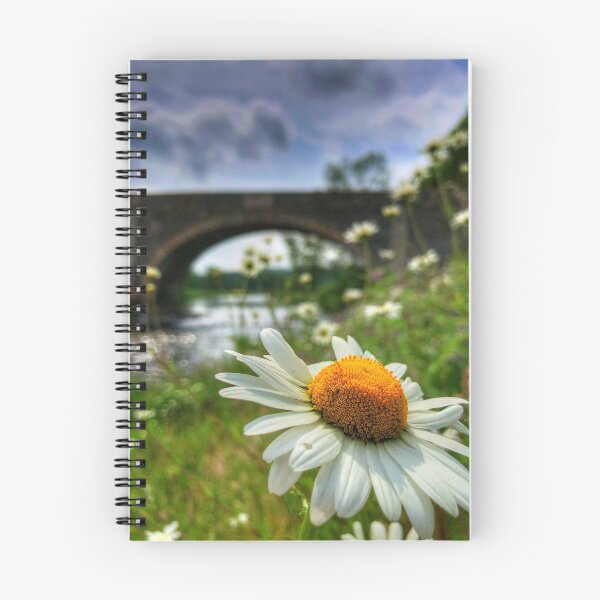 Item preview, Daisies in the sun at Old Tweed Bridge near Selkirk, Scottish Borders designed and sold by yourscotborders.