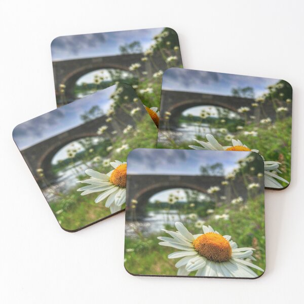 Item preview, Daisies in the sun at Old Tweed Bridge near Selkirk, Scottish Borders designed and sold by yourscotborders.