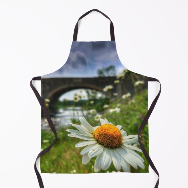 Item preview, Daisies in the sun at Old Tweed Bridge near Selkirk, Scottish Borders designed and sold by yourscotborders.