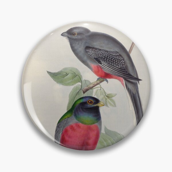 Item preview, A monograph of the Trogonidae or family of trogons John Gould 1838 V1 to V3 0040 Trogon Surucura Surucua Trogon designed and sold by WetdryvacRB01.