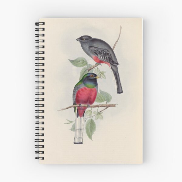 Item preview, A monograph of the Trogonidae or family of trogons John Gould 1838 V1 to V3 0040 Trogon Surucura Surucua Trogon designed and sold by WetdryvacRB01.