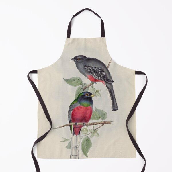 Item preview, A monograph of the Trogonidae or family of trogons John Gould 1838 V1 to V3 0040 Trogon Surucura Surucua Trogon designed and sold by WetdryvacRB01.