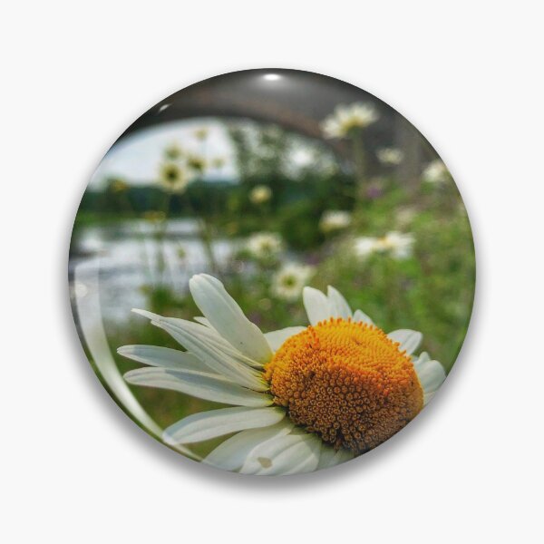 Item preview, Daisies in the sun at Old Tweed Bridge near Selkirk, Scottish Borders designed and sold by yourscotborders.