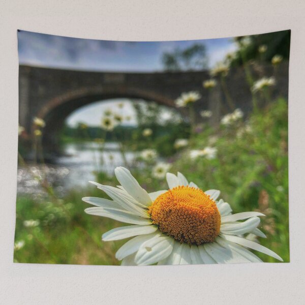 Item preview, Daisies in the sun at Old Tweed Bridge near Selkirk, Scottish Borders designed and sold by yourscotborders.