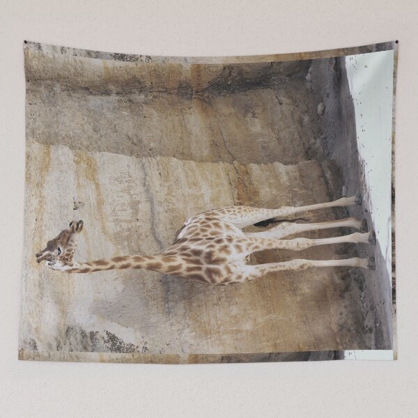 Aperçu de l'œuvre r2411/ Ton sur ton ! : Girafe d’Afrique centrale  2020 par Okaio Créations - Olavia-Olao     créée et vendue par o.okaïo.