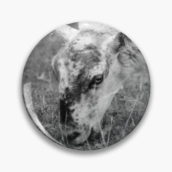 Item preview, Sheep designed and sold by saffervision.