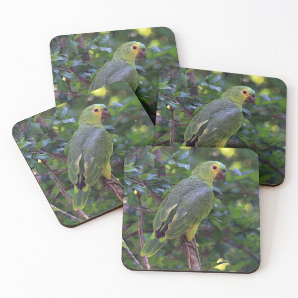 Item preview, ParroPhoto of Parrot (Turquoise-fronted Parrot) perched on a tree. Mato Grosso do Sul. Pantanalt designed and sold by Rafael  Cerqueira.