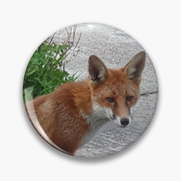 Item preview, Foxy  designed and sold by DaveEssonPhotos.