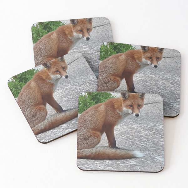 Item preview, Foxy  designed and sold by DaveEssonPhotos.