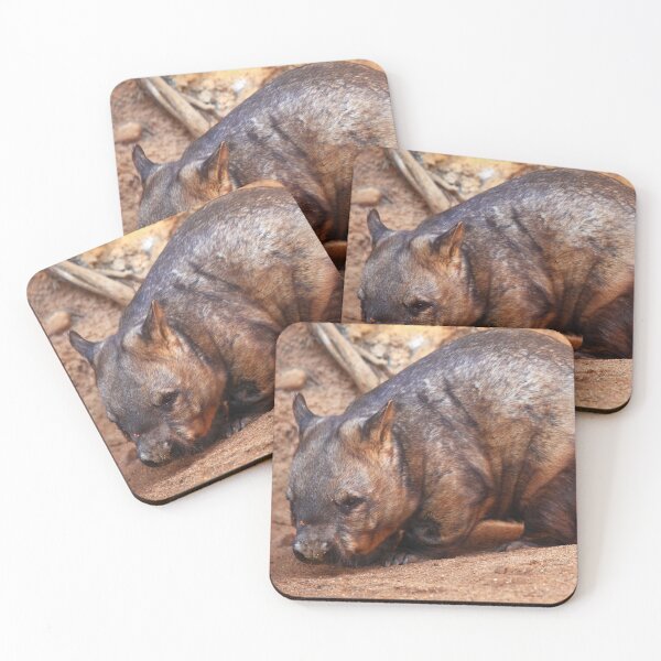 Item preview, Hairy Nosed Wombat designed and sold by TVD-Photography.