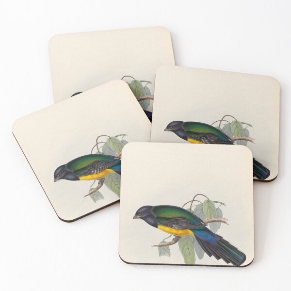 Item preview, A monograph of the Trogonidae or family of trogons John Gould 1838 V1 to V3 0042 Trogon Melanocephala Black Headed Trogon designed and sold by WetdryvacRB01.