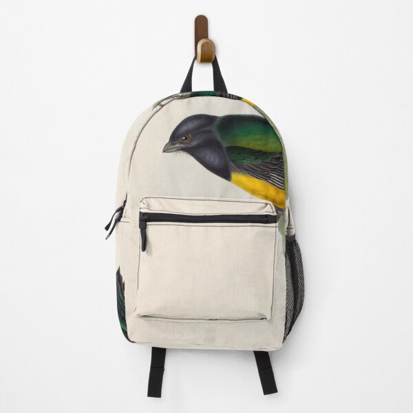 Item preview, A monograph of the Trogonidae or family of trogons John Gould 1838 V1 to V3 0042 Trogon Melanocephala Black Headed Trogon designed and sold by WetdryvacRB01.