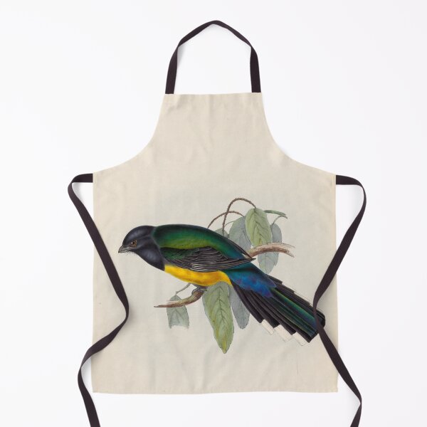 Item preview, A monograph of the Trogonidae or family of trogons John Gould 1838 V1 to V3 0042 Trogon Melanocephala Black Headed Trogon designed and sold by WetdryvacRB01.
