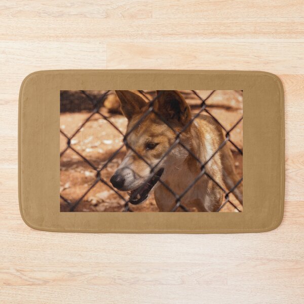 Item preview, Captive Audience (Dingo) designed and sold by JlocksJedi.