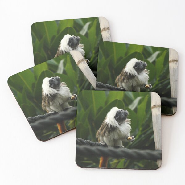 Item preview, Cotton Top Tamarin designed and sold by heyiitshaleyy.