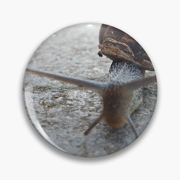 Item preview, Feeling slugish designed and sold by DaveEssonPhotos.