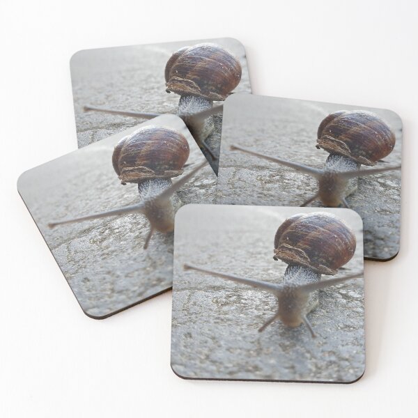 Item preview, Feeling slugish designed and sold by DaveEssonPhotos.