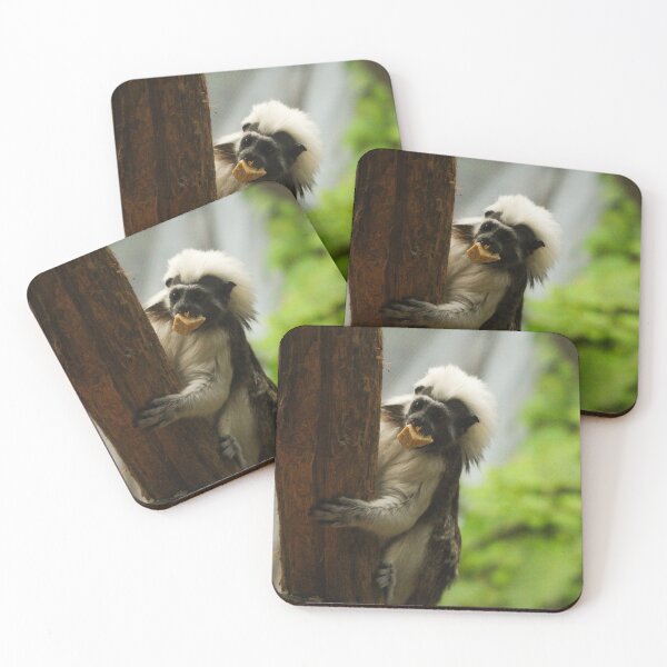 Item preview, Cotton Top Tamarin designed and sold by heyiitshaleyy.