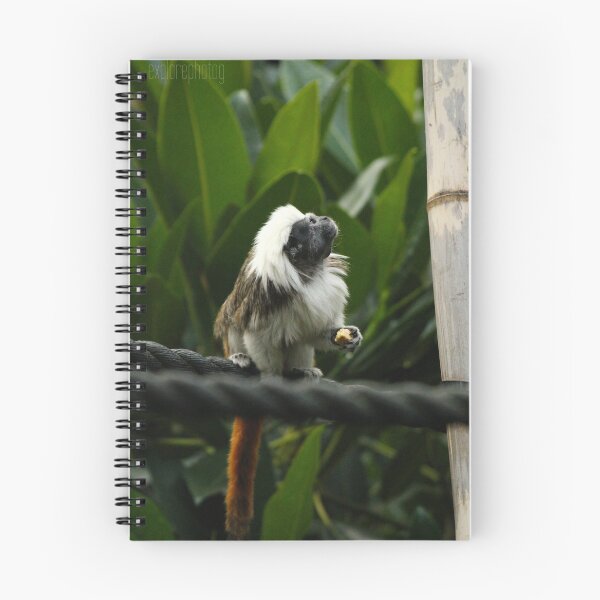 Item preview, Cotton Top Tamarin designed and sold by heyiitshaleyy.