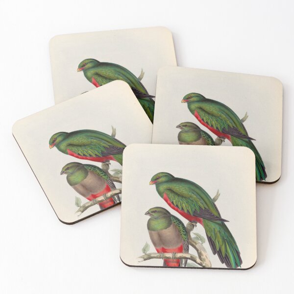 Item preview, A monograph of the Trogonidae or family of trogons John Gould 1838 V1 to V3 0044 Trogon Pavoninus Peacock Trogon designed and sold by WetdryvacRB01.