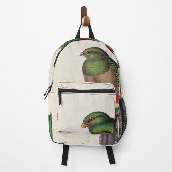 Item preview, A monograph of the Trogonidae or family of trogons John Gould 1838 V1 to V3 0044 Trogon Pavoninus Peacock Trogon designed and sold by WetdryvacRB01.
