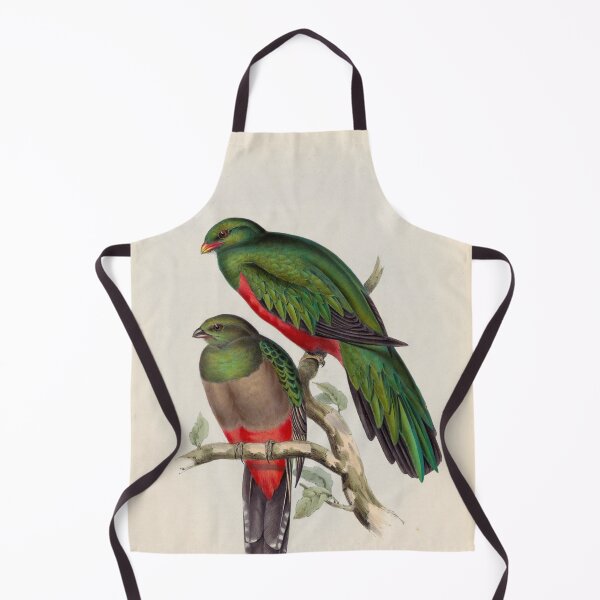Item preview, A monograph of the Trogonidae or family of trogons John Gould 1838 V1 to V3 0044 Trogon Pavoninus Peacock Trogon designed and sold by WetdryvacRB01.