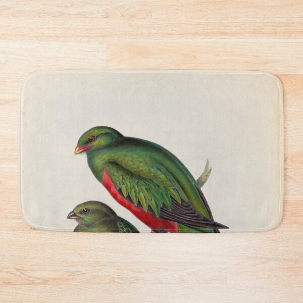 Item preview, A monograph of the Trogonidae or family of trogons John Gould 1838 V1 to V3 0044 Trogon Pavoninus Peacock Trogon designed and sold by WetdryvacRB01.