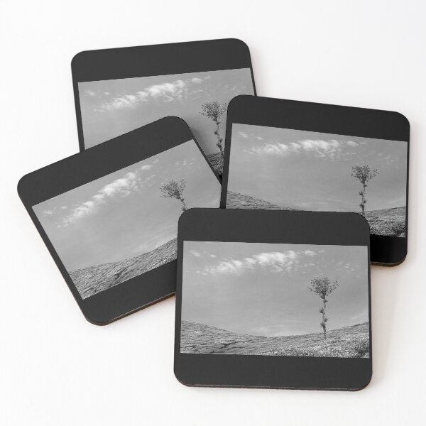 Item preview, SSK 9113 Nature's Elements. B/W designed and sold by Sunil Kapadia.