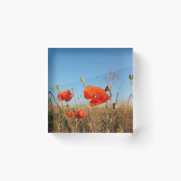 Item preview, Poppy flowers designed and sold by MimiSandell.
