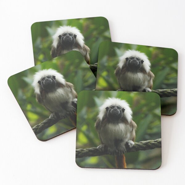 Item preview, Cotton Top Tamarin designed and sold by heyiitshaleyy.