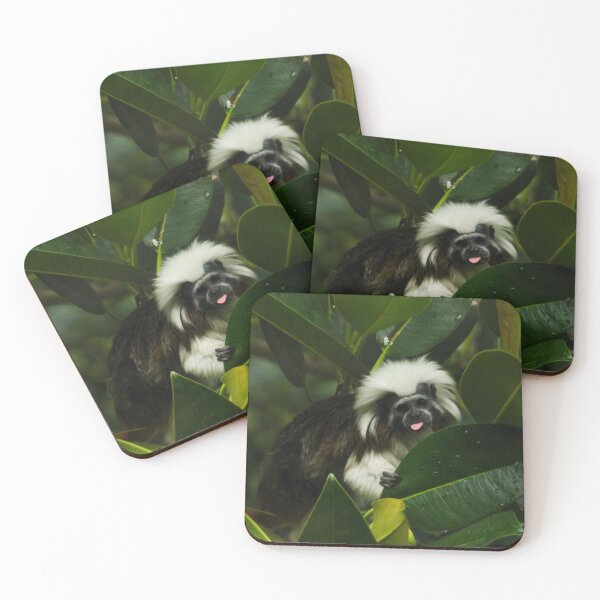 Item preview, Cotton Top Tamarin designed and sold by heyiitshaleyy.