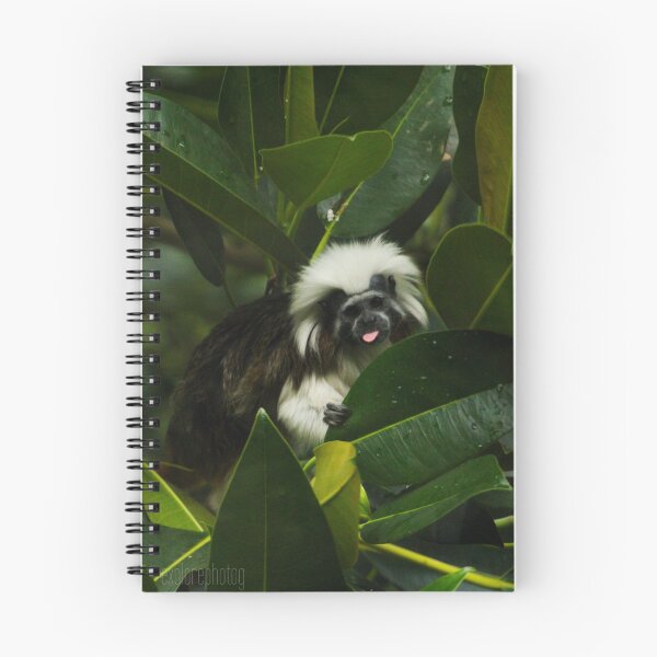 Item preview, Cotton Top Tamarin designed and sold by heyiitshaleyy.