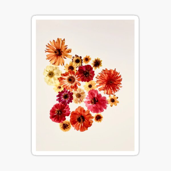 Jovia Botanical Sticker