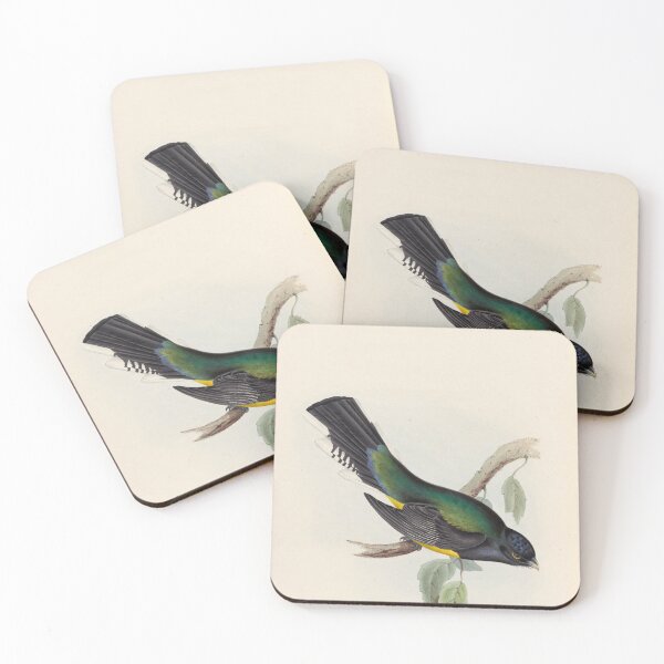 Item preview, A monograph of the Trogonidae or family of trogons John Gould 1838 V1 to V3 0046 Trogon Melanopterus Black Winged Trogon designed and sold by WetdryvacRB01.