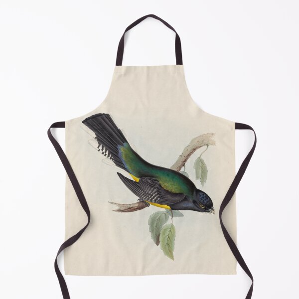 Item preview, A monograph of the Trogonidae or family of trogons John Gould 1838 V1 to V3 0046 Trogon Melanopterus Black Winged Trogon designed and sold by WetdryvacRB01.