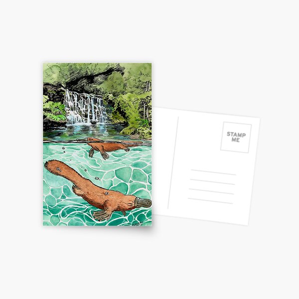Item preview, Platypus Falls designed and sold by SnakeArtist.