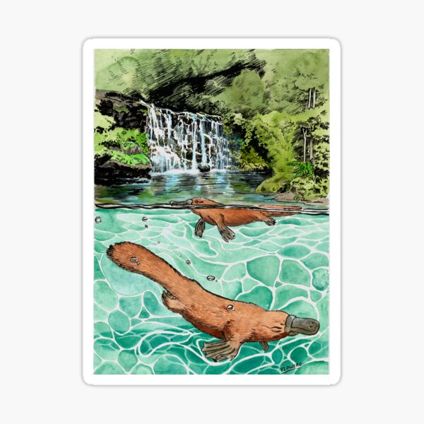 Item preview, Platypus Falls designed and sold by SnakeArtist.
