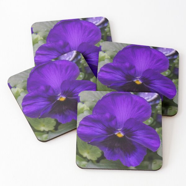 Item preview, Purple Pansy in Full Bloom designed and sold by Steven Jodoin.