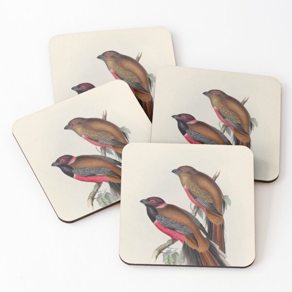 Item preview, A monograph of the Trogonidae or family of trogons John Gould 1838 V1 to V3 0048 Trogon Diardii Diard's Trogon designed and sold by WetdryvacRB01.