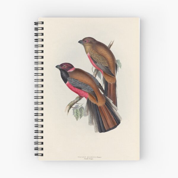 Item preview, A monograph of the Trogonidae or family of trogons John Gould 1838 V1 to V3 0048 Trogon Diardii Diard's Trogon designed and sold by WetdryvacRB01.